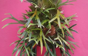 412a725e-5452-46b5-9989-120fa11af805