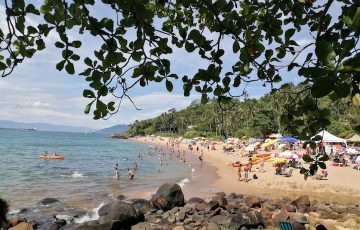 503c8c57-cdc8-4bb6-b942-77cfb1c783ad