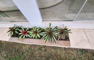 b8111804-66af-4d57-87f7-bbf07127828e