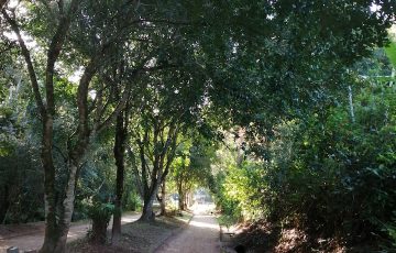 ba02392d-e00f-4af6-8341-5e00166d6d68